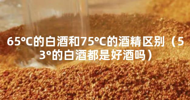 65℃的白酒和75℃的酒精区别（53°的白酒都是好酒吗）