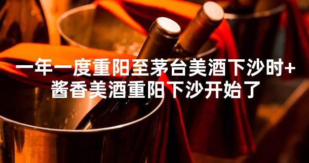 一年一度重阳至茅台美酒下沙时+酱香美酒重阳下沙开始了