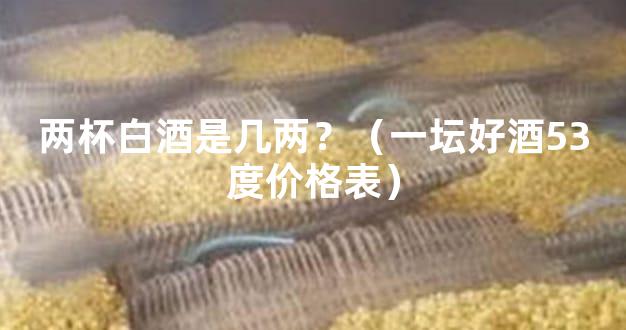 两杯白酒是几两？（一坛好酒53度价格表）
