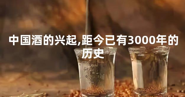 中国酒的兴起,距今已有3000年的历史