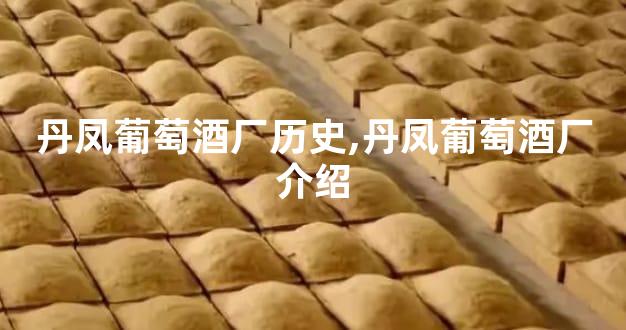 丹凤葡萄酒厂历史,丹凤葡萄酒厂介绍
