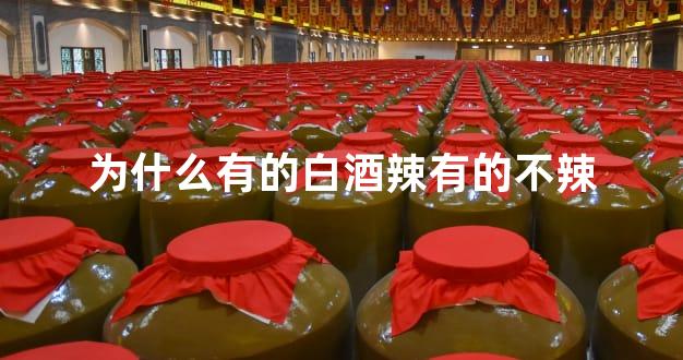 为什么有的白酒辣有的不辣