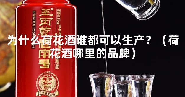 为什么荷花酒谁都可以生产？（荷花酒哪里的品牌）
