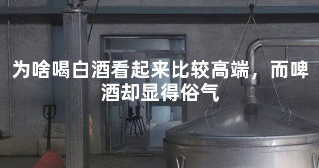 为啥喝白酒看起来比较高端，而啤酒却显得俗气