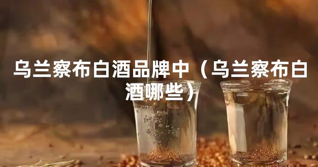 乌兰察布白酒品牌中（乌兰察布白酒哪些）