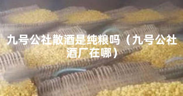 九号公社散酒是纯粮吗（九号公社酒厂在哪）