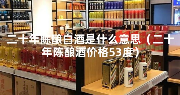 二十年陈酿白酒是什么意思（二十年陈酿酒价格53度）