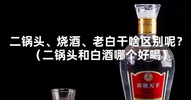 二锅头、烧酒、老白干啥区别呢？（二锅头和白酒哪个好喝）