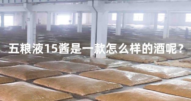 五粮液15酱是一款怎么样的酒呢？