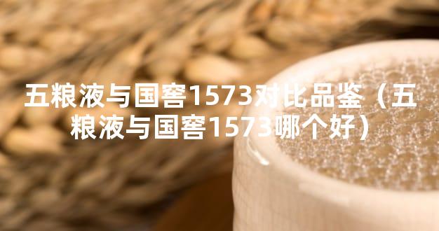 五粮液与国窖1573对比品鉴（五粮液与国窖1573哪个好）