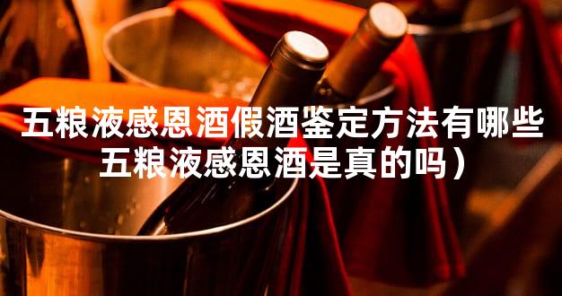 五粮液感恩酒假酒鉴定方法有哪些五粮液感恩酒是真的吗）