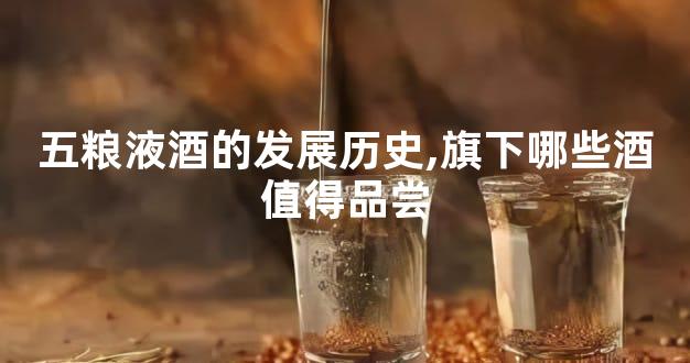 五粮液酒的发展历史,旗下哪些酒值得品尝
