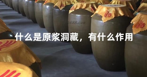 什么是原浆洞藏，有什么作用