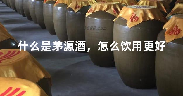 什么是茅源酒，怎么饮用更好