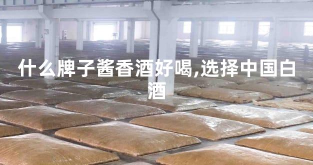 什么牌子酱香酒好喝,选择中国白酒