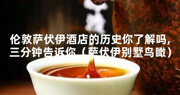 伦敦萨伏伊酒店的历史你了解吗,三分钟告诉你（萨伏伊别墅鸟瞰）