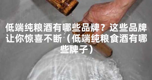 低端纯粮酒有哪些品牌？这些品牌让你惊喜不断（低端纯粮食酒有哪些牌子）