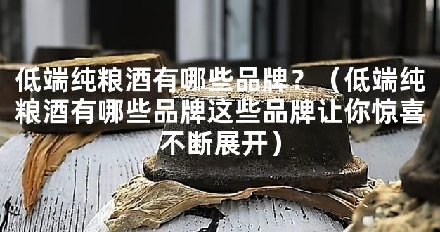 低端纯粮酒有哪些品牌？（低端纯粮酒有哪些品牌这些品牌让你惊喜不断展开）