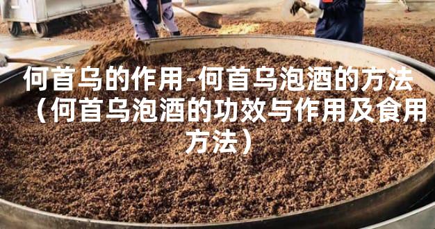 何首乌的作用-何首乌泡酒的方法（何首乌泡酒的功效与作用及食用方法）