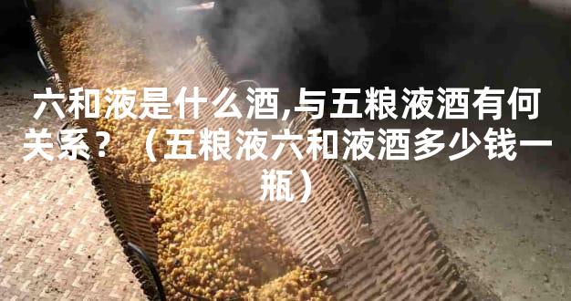 六和液是什么酒,与五粮液酒有何关系？（五粮液六和液酒多少钱一瓶）