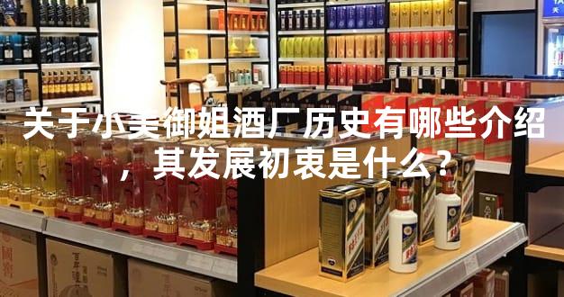关于小美御姐酒厂历史有哪些介绍，其发展初衷是什么？