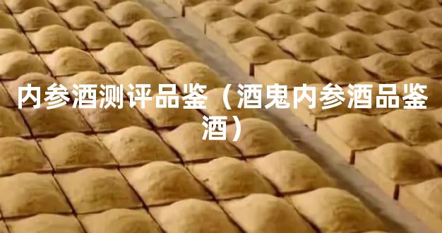 内参酒测评品鉴（酒鬼内参酒品鉴酒）