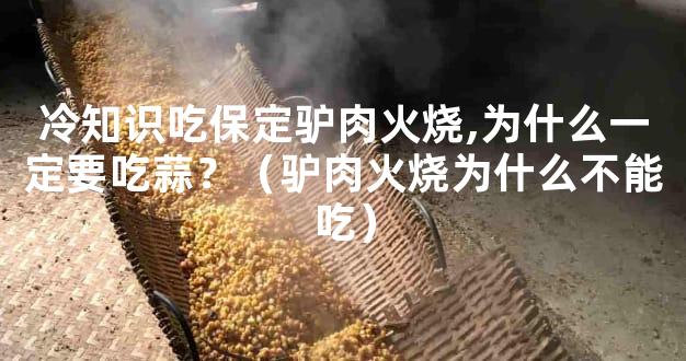 冷知识吃保定驴肉火烧,为什么一定要吃蒜？（驴肉火烧为什么不能吃）