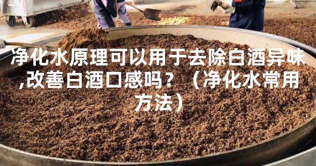 净化水原理可以用于去除白酒异味,改善白酒口感吗？（净化水常用方法）