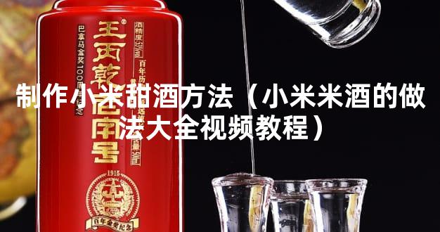 制作小米甜酒方法（小米米酒的做法大全视频教程）