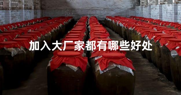 加入大厂家都有哪些好处