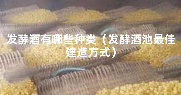 发酵酒有哪些种类（发酵酒池最佳建造方式）