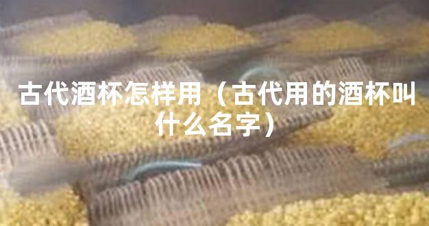 古代酒杯怎样用（古代用的酒杯叫什么名字）