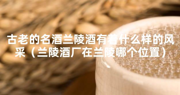 古老的名酒兰陵酒有着什么样的风采（兰陵酒厂在兰陵哪个位置）