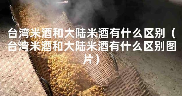 台湾米酒和大陆米酒有什么区别（台湾米酒和大陆米酒有什么区别图片）