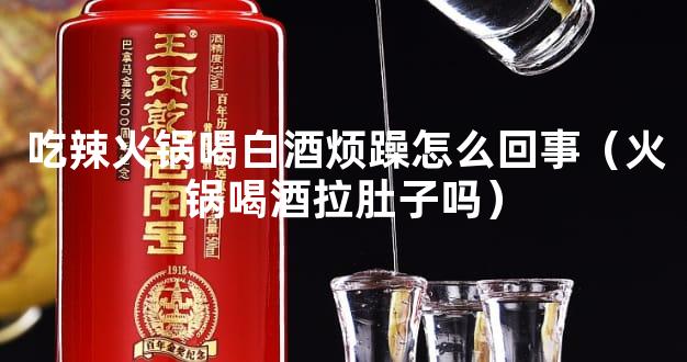 吃辣火锅喝白酒烦躁怎么回事（火锅喝酒拉肚子吗）