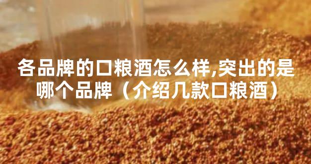 各品牌的口粮酒怎么样,突出的是哪个品牌（介绍几款口粮酒）