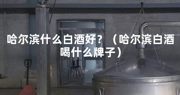 哈尔滨什么白酒好？（哈尔滨白酒喝什么牌子）
