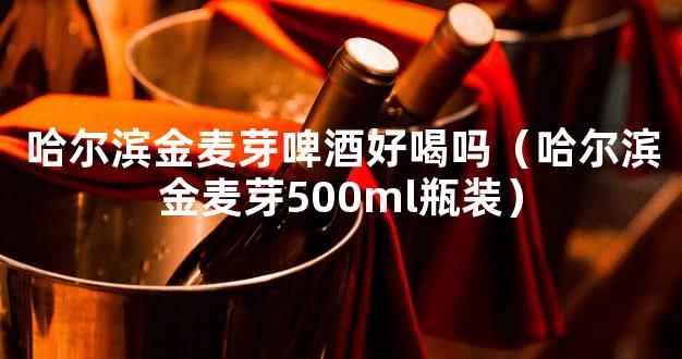 哈尔滨金麦芽啤酒好喝吗（哈尔滨金麦芽500ml瓶装）
