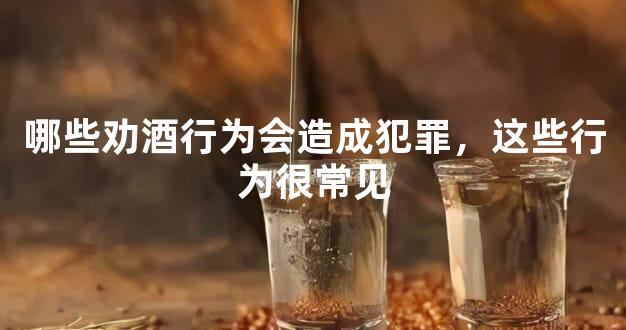 哪些劝酒行为会造成犯罪，这些行为很常见