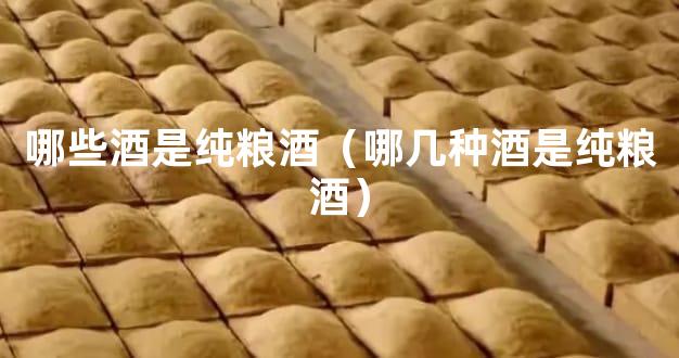 哪些酒是纯粮酒（哪几种酒是纯粮酒）