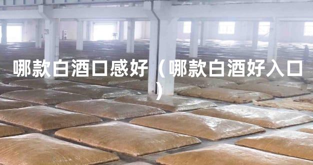 哪款白酒口感好（哪款白酒好入口）