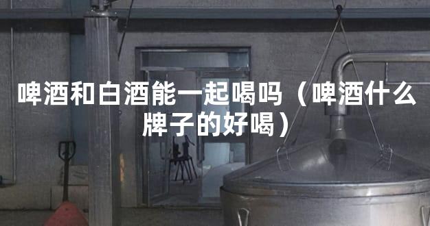 啤酒和白酒能一起喝吗（啤酒什么牌子的好喝）