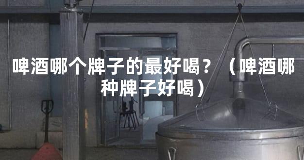 啤酒哪个牌子的最好喝？（啤酒哪种牌子好喝）
