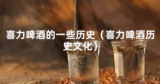 喜力啤酒的一些历史（喜力啤酒历史文化）