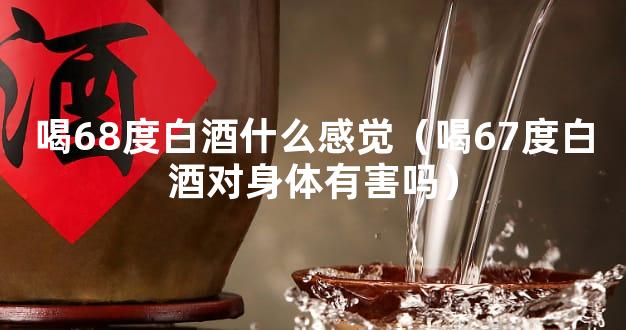 喝68度白酒什么感觉（喝67度白酒对身体有害吗）