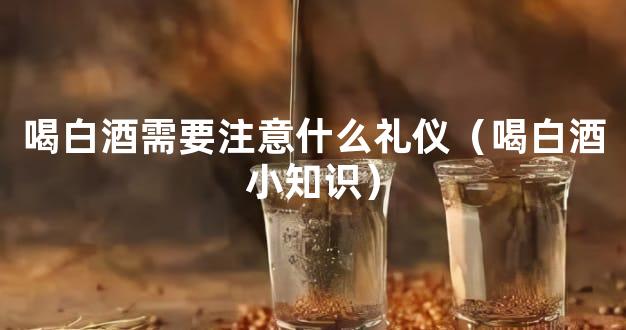 喝白酒需要注意什么礼仪（喝白酒小知识）