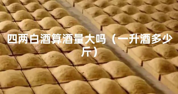 四两白酒算酒量大吗（一升酒多少斤）