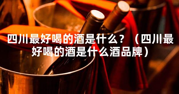 四川最好喝的酒是什么？（四川最好喝的酒是什么酒品牌）