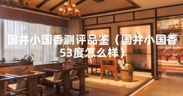 国井小国香测评品鉴（国井小国香53度怎么样）
