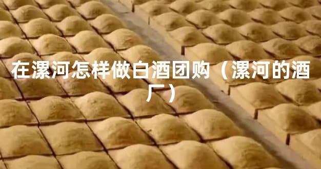 在漯河怎样做白酒团购（漯河的酒厂）